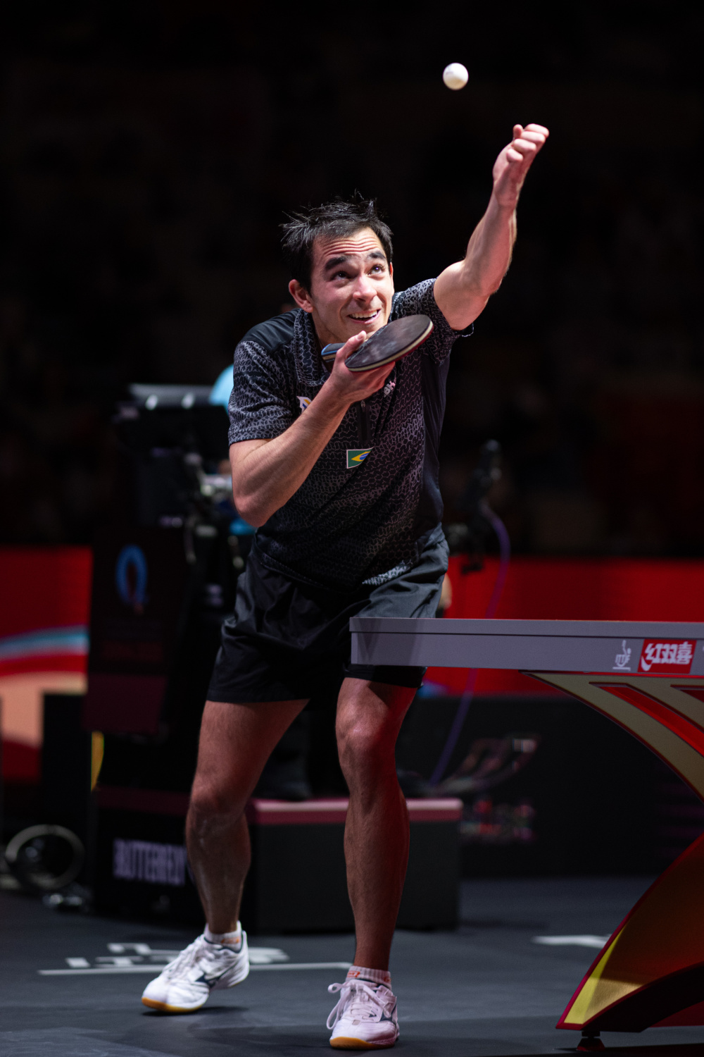 布朗尼一事 布朗尼一事